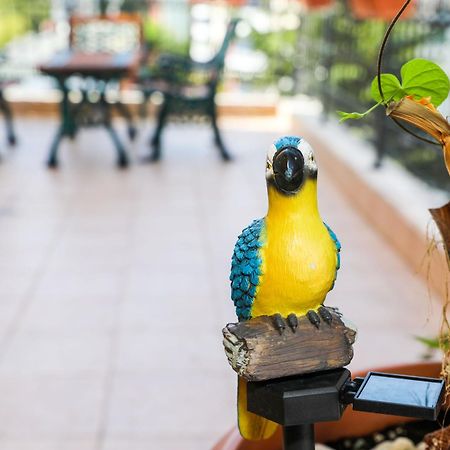 Family Hotel Deykin Pantai Sunny Luaran gambar
